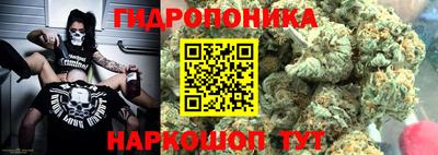 шишки Анапа