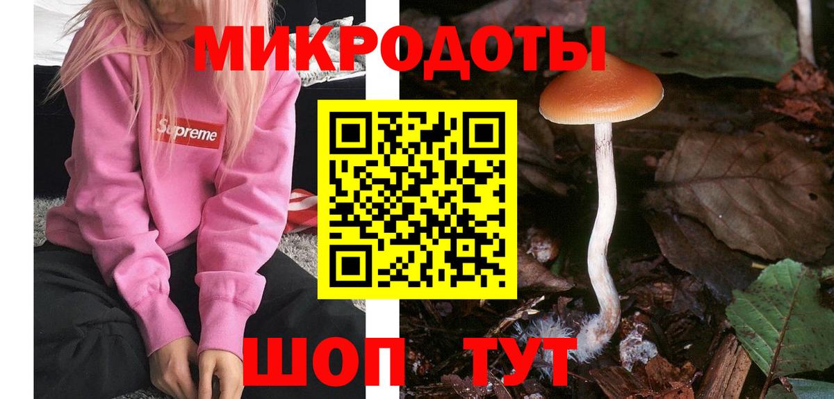 Псилоцибиновые грибы Psilocybine cubensis Костомукша