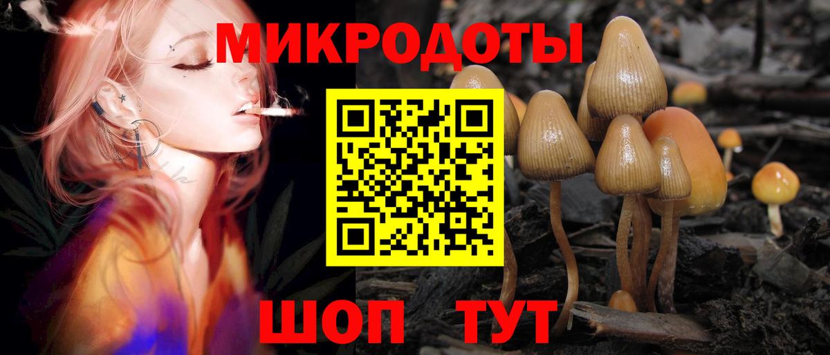 Псилоцибиновые грибы прущие грибы  Галлюциногенные грибы Psilocybe  Костомукша  цены   Вход с VPN 